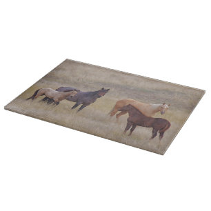 The Colours Of The Front Range Horse Cutting Board