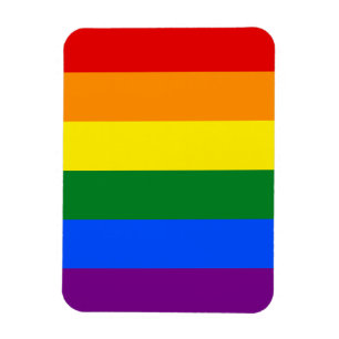 The colours of the rainbow magnet