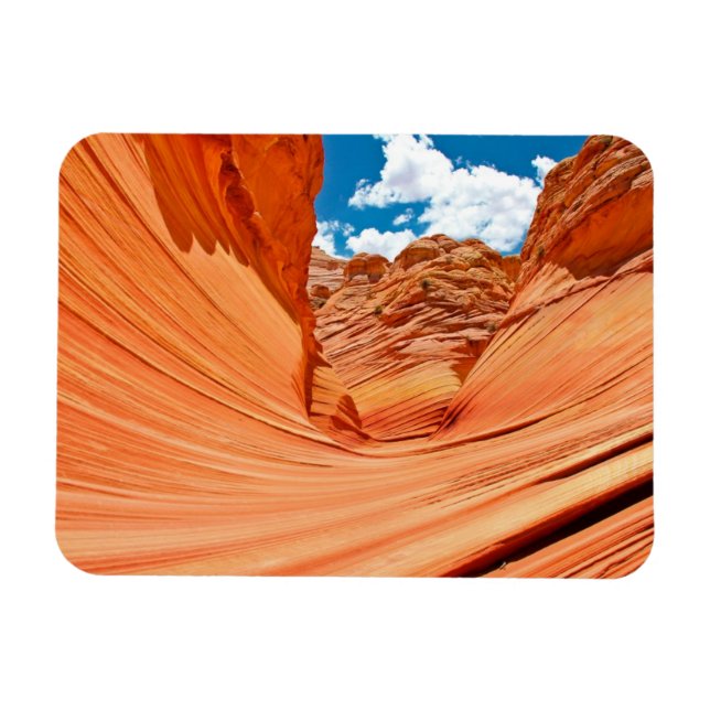 The Colours of the Wave Magnet (Horizontal)