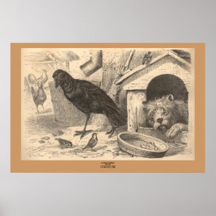 The Common Raven Poster