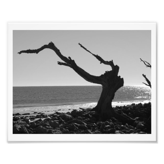 The Conductor Photo Print (Front)