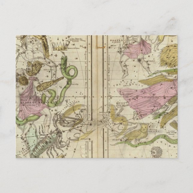 The Constellations in April-September Postcard (Front)