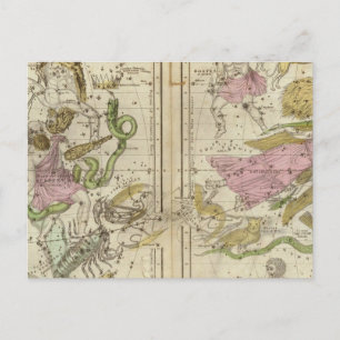 The Constellations in April-September Postcard