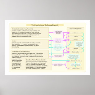 The Constitutional Structure of the Roman Republic Poster