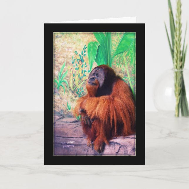 The Contemplater  - Card (Front)