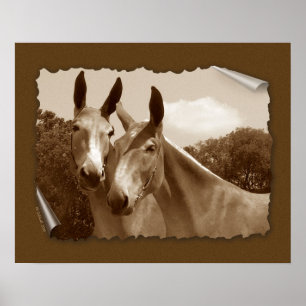 The Conversation Poster