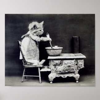 The Cook Cat Funny Harry Whittier Frees 1914 Poster