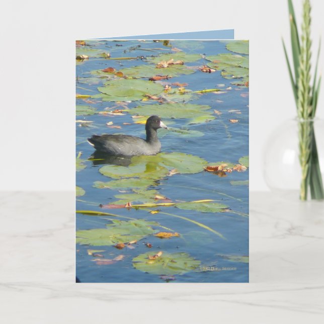 The Coot Card (Front)