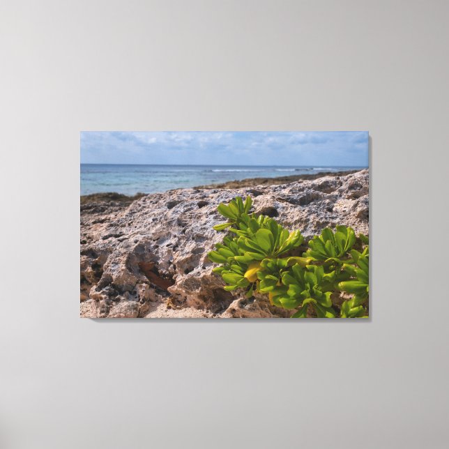 The Corals Edge Canvas Print (Front)