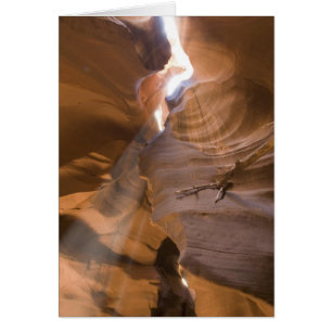 The Corkscrew in Upper Antelope Canyon, Navajo