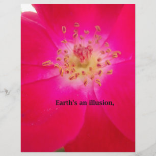The Cosmic Rose: Nature's Deception Design