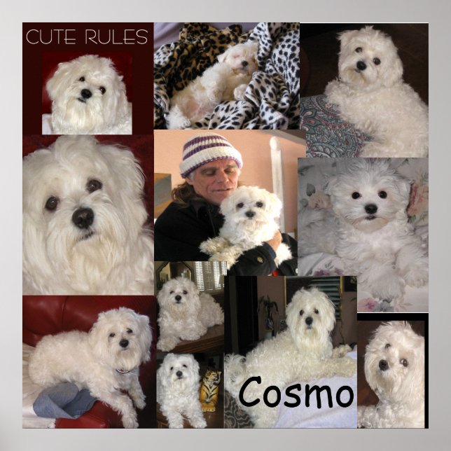 The Cosmo Poster by lin (Front)