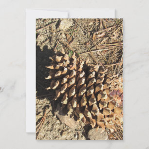 The Coulter Pinecone Holiday Card