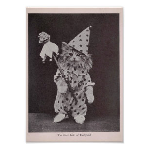 The Court Jester of Tabbyland Photo Print