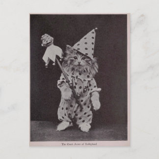 The Court Jester of Tabbyland Postcard