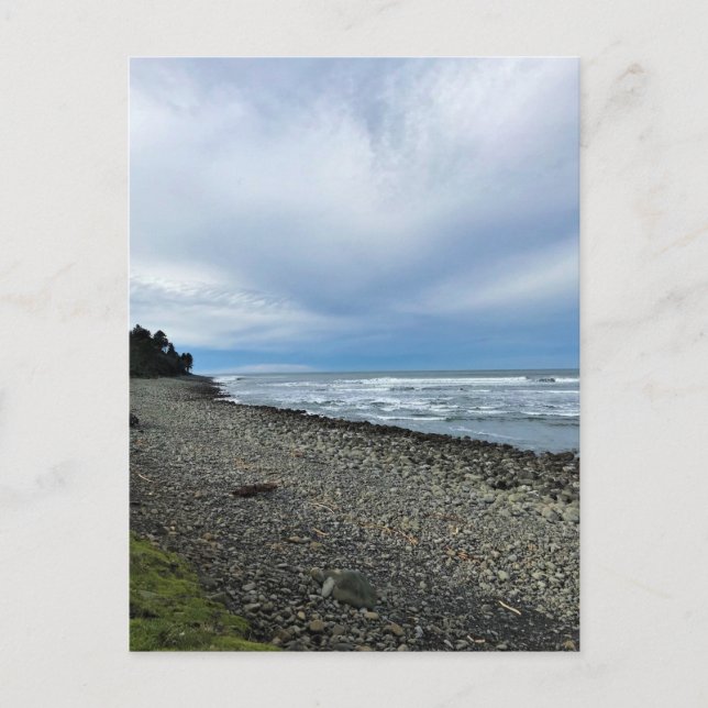 The Cove at Seaside, Oregon Postcard (Front)