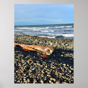 The Cove at Seaside, Oregon Poster