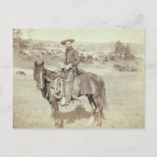 "The Cow Boy" Postcard