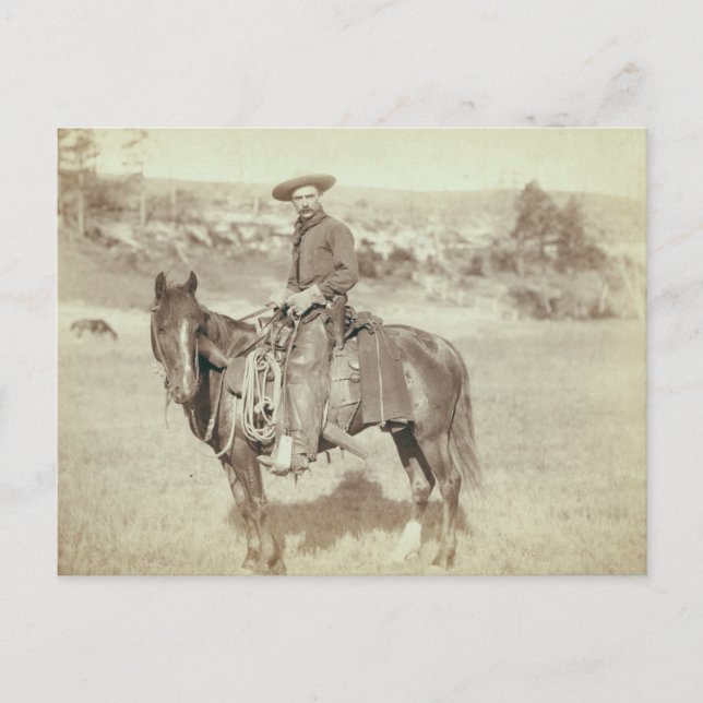 "The Cow Boy" Postcard (Front)