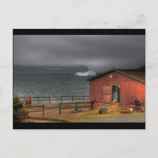 The Cowboy Way Postcard