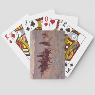 The Cowpunchers (w/c on paper) Playing Cards