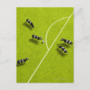 The cows playing soccer postcard