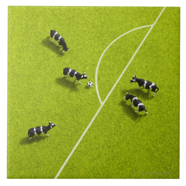 The cows playing soccer tile (Front)