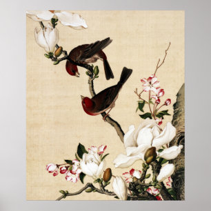 The Crabapple and Magnolia Fine Art Poster