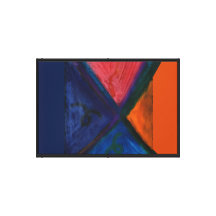 The Crayo Experiment Stretched Canvas Print