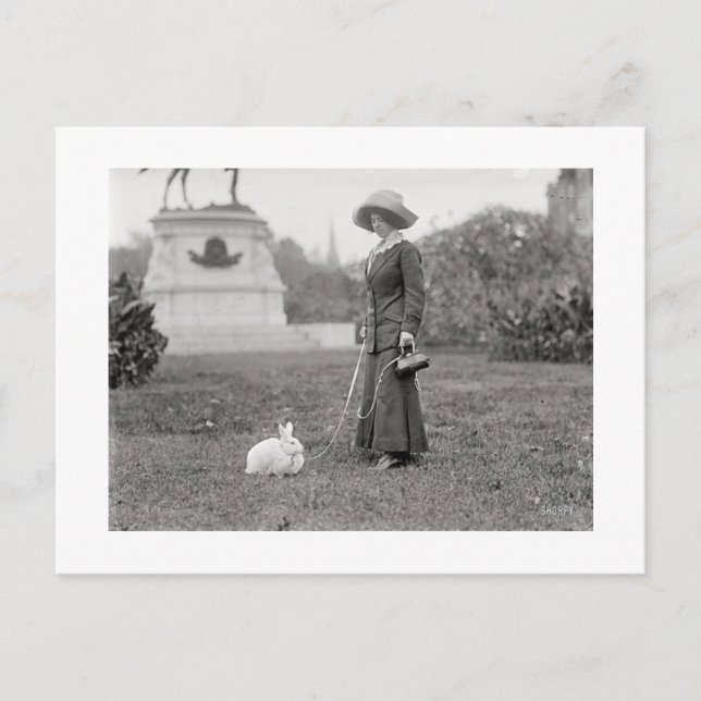 The Crazy Bunny Lady Postcard (Front)