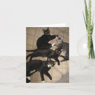 The Crew Blank Note Card