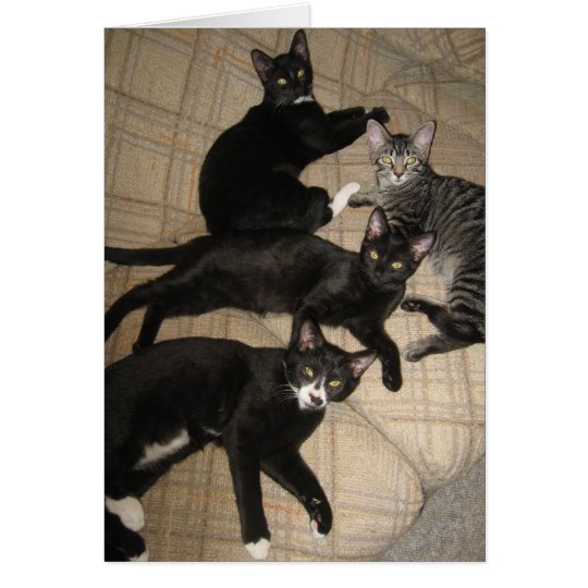 The Crew Blank Note Card