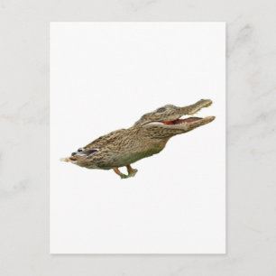 The Crocoduck Postcard