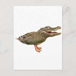 The Crocoduck with feet Postcard