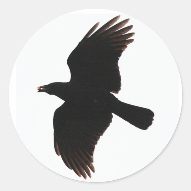 the crow round stickers (Front)