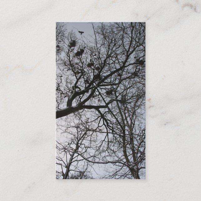 The Crows Small Photo Card (Front)