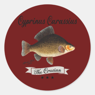 The Crucian Carp Fish Vintage Fish Species Classic Round Sticker