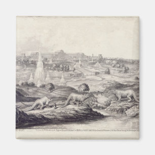 The Crystal Palace Magnet