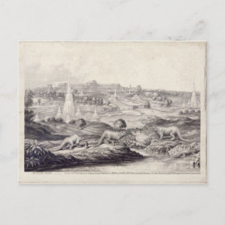 The Crystal Palace Postcard