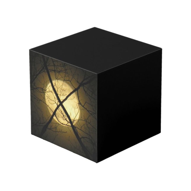 THE CUBE- FEATURING - X MARKS THE SPOT CUBE (Front Angled)