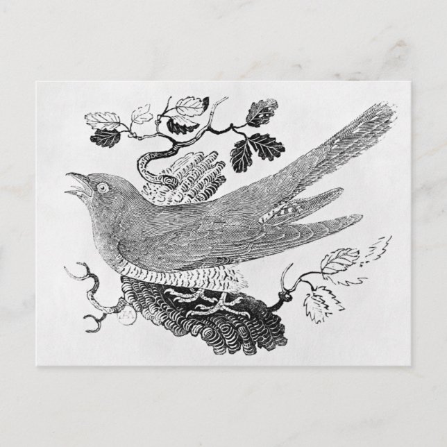 The Cuckoo Postcard (Front)