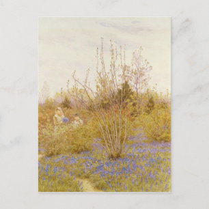 The Cuckoo Postcard