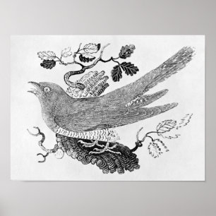 The Cuckoo Poster