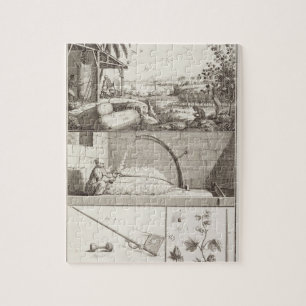 The cultivation of cotton, from the jigsaw puzzle
