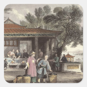 The Culture and Preparation of Tea, from 'China in Square Sticker
