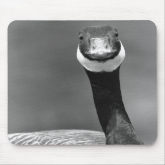 The Curious Goose Mousepad