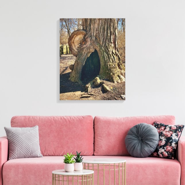 The Curious Hollow 16x20 Canvas Print (Insitu(LivingRoom))