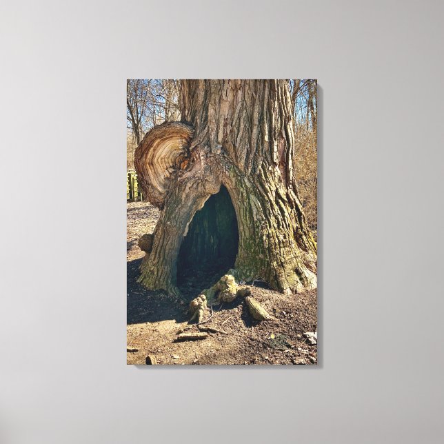 The Curious Hollow 20x30 Canvas Print (Front)
