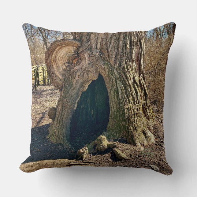 The Curious Hollow  Cushion (Front)