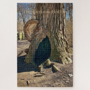 The Curious Hollow Jigsaw Puzzle